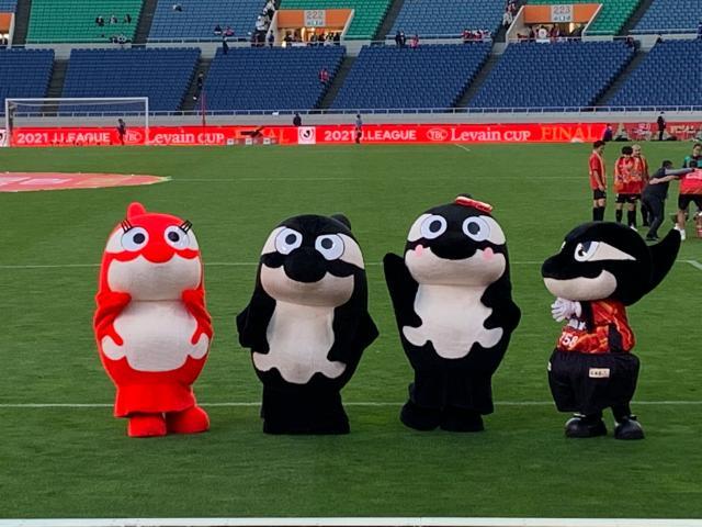 1635769884170011867.jpeg 975.jpeg